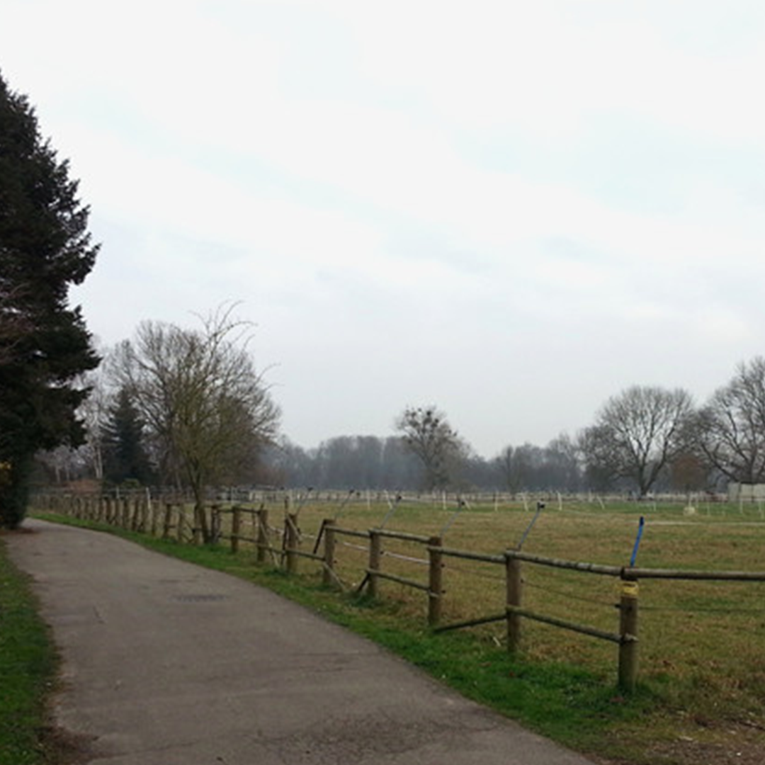 Freiflächen am Mollsbaumweg Foto Freiflächen am Mollsbaumweg
